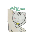 ゆるふわ猫ララちゃん♡（個別スタンプ：35）