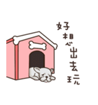 かわいい女の子と犬（個別スタンプ：10）