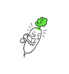 Four kinds of Vegetables sticker（個別スタンプ：20）