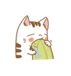 Cat Corgi Cucumber (Thai)（個別スタンプ：9）