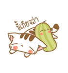 Cat Corgi Cucumber (Thai)（個別スタンプ：12）