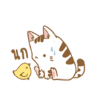 Cat Corgi Cucumber (Thai)（個別スタンプ：23）