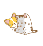 Cat Corgi Cucumber (Thai)（個別スタンプ：27）