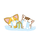 Cat Corgi Cucumber (Thai)（個別スタンプ：37）