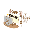 Cat Corgi Cucumber (Thai)（個別スタンプ：39）