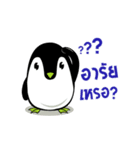 Penguin Dukdik（個別スタンプ：12）