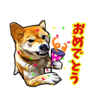 リアル柴犬☆柴犬祭り（個別スタンプ：32）