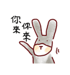 ha ha rabbit and cat（個別スタンプ：3）