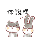 ha ha rabbit and cat（個別スタンプ：13）