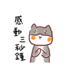 ha ha rabbit and cat（個別スタンプ：14）