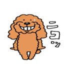 犬のクッキースタンプ♪（個別スタンプ：15）