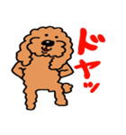 犬のクッキースタンプ♪（個別スタンプ：19）