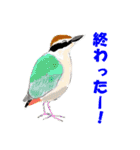 野鳥ギャグスタンプ（個別スタンプ：11）