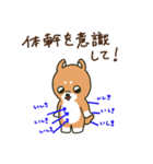 筋トレ犬【タグ設定対応】（個別スタンプ：32）
