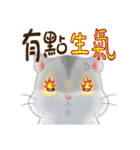 Hamsters sock (DA BAO DAI)（個別スタンプ：15）