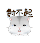 Hamsters sock (DA BAO DAI)（個別スタンプ：20）