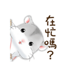 Hamsters sock (DA BAO DAI)（個別スタンプ：25）