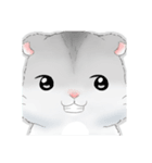 Hamsters sock (DA BAO DAI)（個別スタンプ：33）