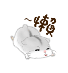 Hamsters sock (DA BAO DAI)（個別スタンプ：36）