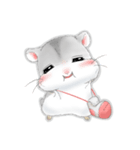 Hamsters sock (DA BAO DAI)（個別スタンプ：39）