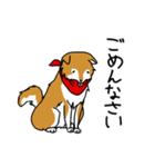 ご主人大好き犬-ジョンと鮫次郎-（個別スタンプ：7）