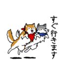 ご主人大好き犬-ジョンと鮫次郎-（個別スタンプ：10）