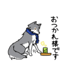 ご主人大好き犬-ジョンと鮫次郎-（個別スタンプ：12）