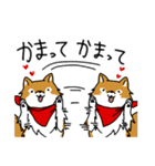 ご主人大好き犬-ジョンと鮫次郎-（個別スタンプ：17）