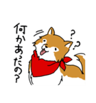 ご主人大好き犬-ジョンと鮫次郎-（個別スタンプ：23）