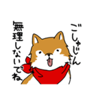 ご主人大好き犬-ジョンと鮫次郎-（個別スタンプ：28）