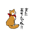 ご主人大好き犬-ジョンと鮫次郎-（個別スタンプ：29）