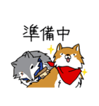 ご主人大好き犬-ジョンと鮫次郎-（個別スタンプ：31）