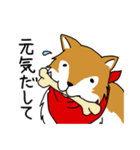 ご主人大好き犬-ジョンと鮫次郎-（個別スタンプ：33）