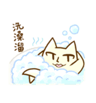 Breast Cat（個別スタンプ：21）