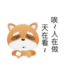 Cute funny raccoon（個別スタンプ：8）