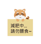 Cute funny raccoon（個別スタンプ：25）