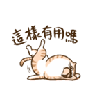 Small bad cat got move（個別スタンプ：15）