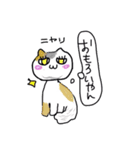 ねこねこだよ（個別スタンプ：33）