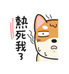 God Dog（個別スタンプ：11）