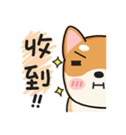 God Dog（個別スタンプ：24）