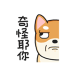 God Dog（個別スタンプ：29）