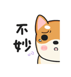 God Dog（個別スタンプ：37）