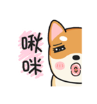 God Dog（個別スタンプ：40）