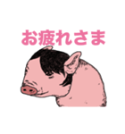 動くイケメンの豚（個別スタンプ：4）