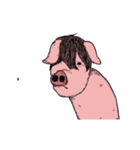 動くイケメンの豚（個別スタンプ：23）