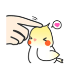 HENG HENG Lovely Cockatiel（個別スタンプ：7）