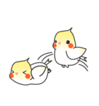 HENG HENG Lovely Cockatiel（個別スタンプ：10）