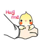 HENG HENG Lovely Cockatiel（個別スタンプ：11）