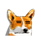 corgi KOBE's dog face（個別スタンプ：2）