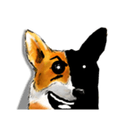 corgi KOBE's dog face（個別スタンプ：4）